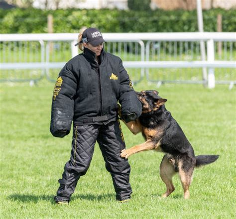 Police Dog Training Suit | Dog Handler Clothes - £1,449.99