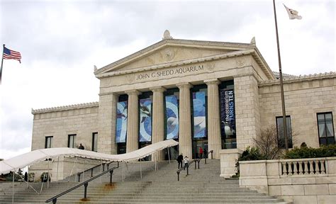 Chicago Museums Will Offer Free Admission This February