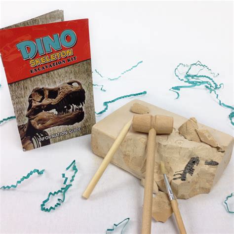 Dinosaur Dig Kit - Montessori By Mom