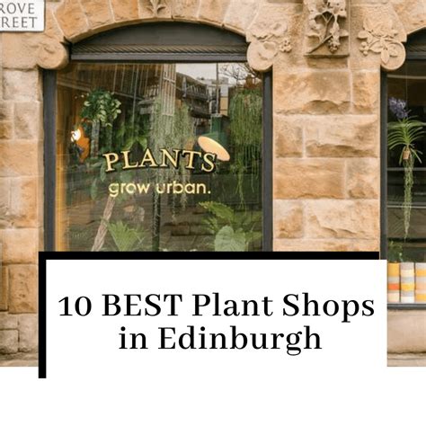 10 INCREDIBLE Plant Shops in Edinburgh - Voyaging Herbivore