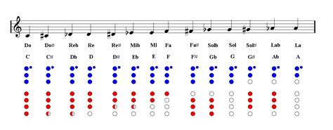 Recorder Notes fingering chart | Easy Music