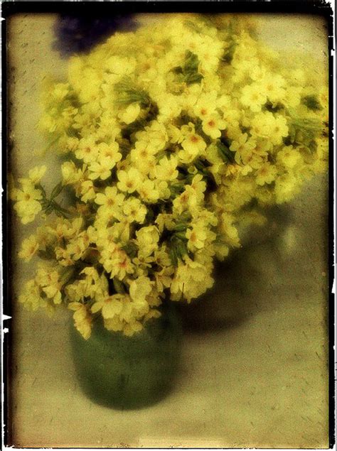 Early Autochrome Photography – Beautiful Color Photos of Natural Flowers from between the 1900s ...