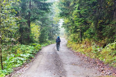 Biking and Hiking in Transylvania: ALL You Need to Know