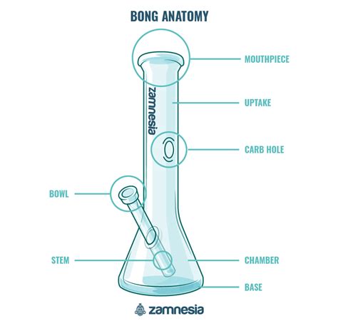 Cómo Preparar Y Fumar Un Bong: Guía Detallada - Zamnesia Blog