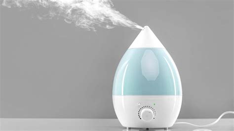 Humidifier Buying Guide: Everything You Need to Know