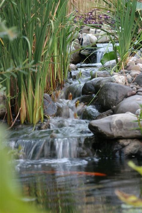 simple-backyard-pond-waterfalls | HomeMydesign