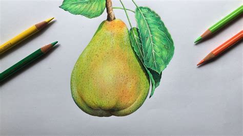 Drawing a Pear in color pencils | Realistic fruit drawing | Faber Castell Polychromos - YouTube