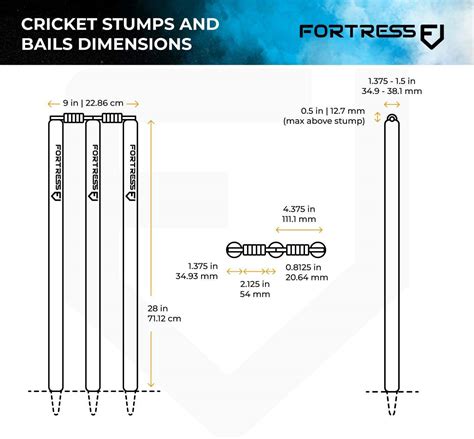 Cricket Pitch Markings & Size Guide | Net World Sports