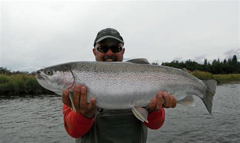 Alaska Trout Fishing at Katmai Lodge Alaska