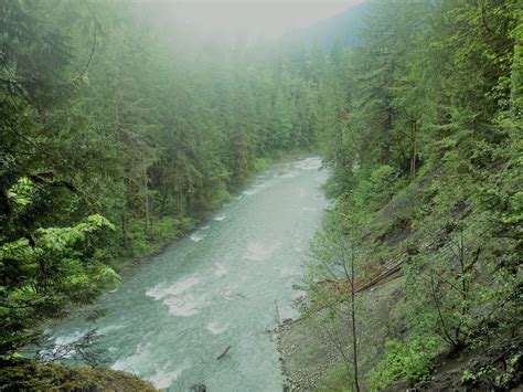 Nooksack River near Glacier, WA. A short 1 mile hike from tent. : r/camping