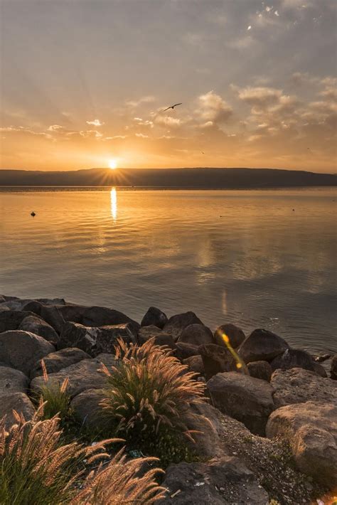 Sunrise at the Sea of Galilee Photo by Kevin Williams — National Geographic Your Shot | Sunrise ...