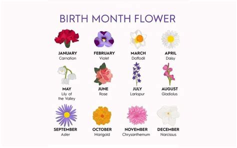 12 Korean Birth Flower For Each Month With Meanings To Know About ...