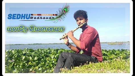 malare mounama | flute cover - R.Sedhumadhavan | video - varnaraw BFA | keys- thilakshan - YouTube