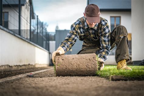 Installing Turf For The First Time? Here’s A DIY Guide To Consider