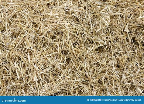 Straw, Hay Background Texture Stock Photo - Image of brown, farming ...