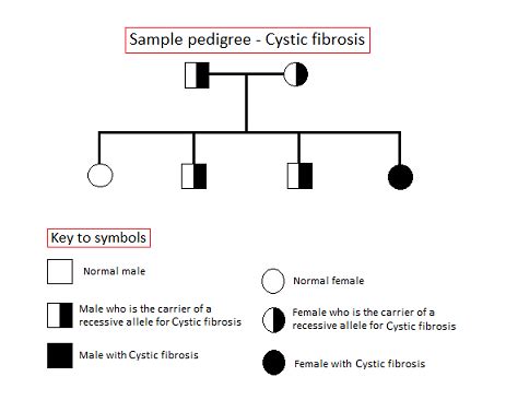 Biology - 9780076774289 - Exercise 1 | Quizlet