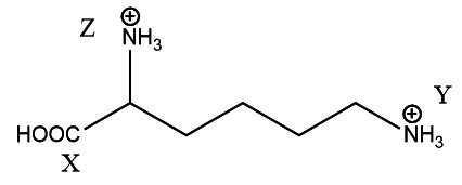 Borax Formula - Chemical Formula for Borax (sodium borate)