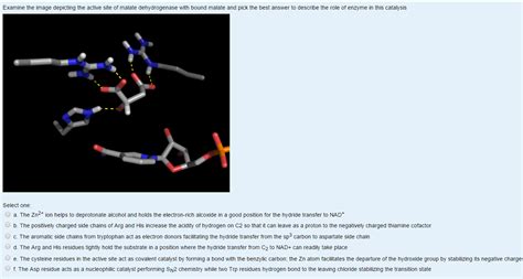 Examine the image depicting the active site of malate | Chegg.com