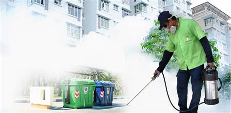 Top 10 Tips for Pest Management | Top Pest Control Singapore