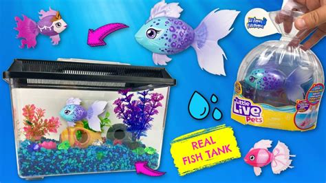 Little Live Pets Lil' Dippers Fish! Magical Surprise DIY Pet Fish Tank – KeyPetCare.com