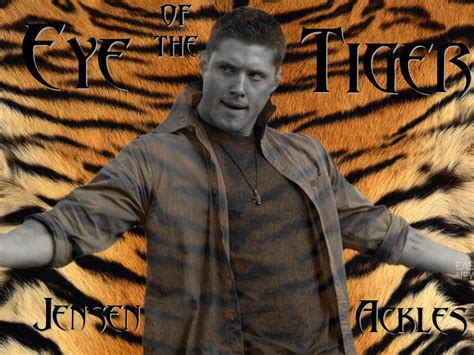 JA Eye of the Tiger - Dean Winchester Wallpaper (2678353) - Fanpop