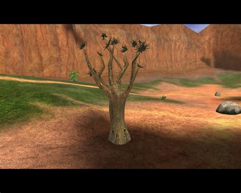 Blue Base Tree (Blood Gulch) | Halo Stunting Wiki | FANDOM powered by Wikia