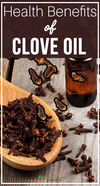 Health Benefits of Clove Oil - Remedies Lore