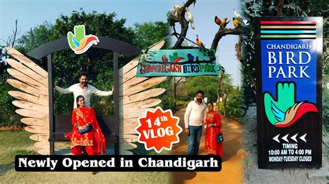 Chandigarh Bird Park || Near Sukhna Lake || Timings Ticketing Food ...