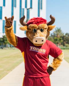 Staff Spotlight: Teddy the Toro – CSUDH News