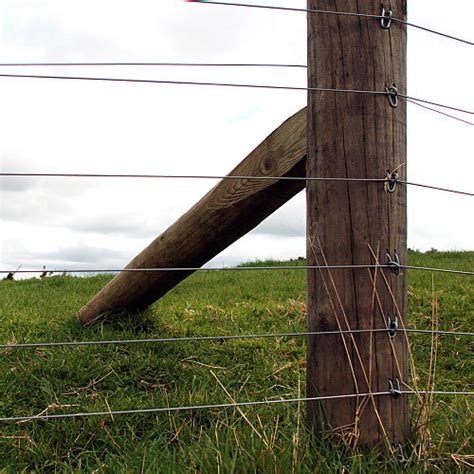 China Electric Fence Energizer Sheep Fence/ Cattle Fence/ Ranch Fencing for Livestock - China ...