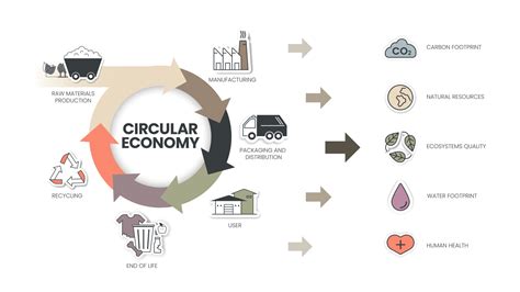 Circular Economy infographic diagram has 6 steps to analyse such as manufacturing, packaging and ...