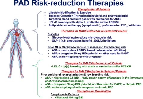 Contemporary Medical Management of Peripheral Artery Disease | Circulation Research