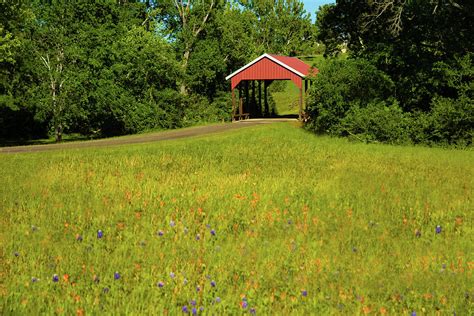 Texas countryside Photograph by D George Taylor | Pixels