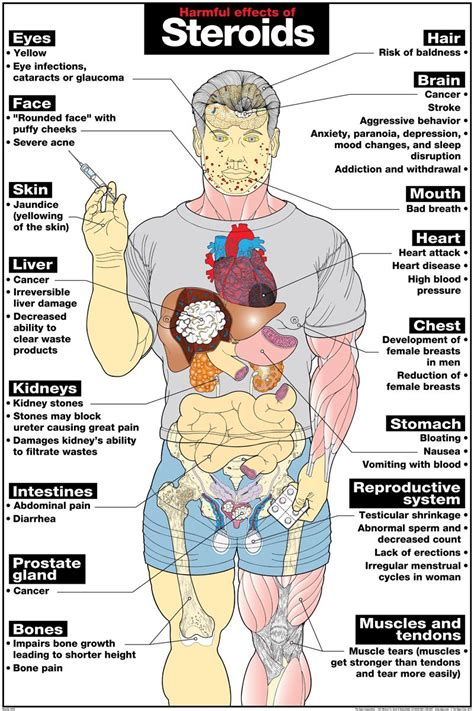 Steroids Drug Effects