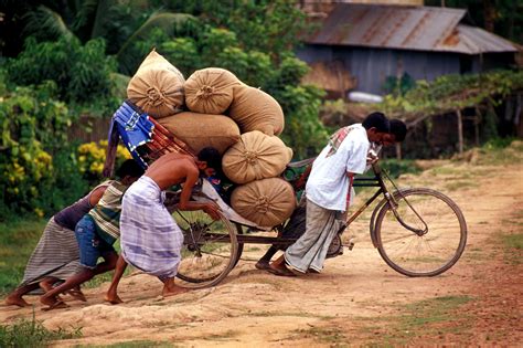 Bangladesh Agriculture Minister Welcomes One CGIAR | International Rice ...