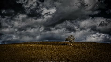 HD wallpaper: field with bad weather, Autumn, Tree, clouds, lonely, sky ...