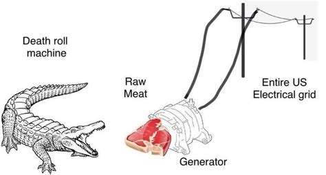 Death Roll Machine : r/ProperAnimalNames