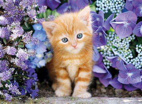 GINGER CAT IN FLOWERS 500 PIECE CLEMENTONI PUZZLE