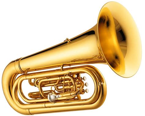 Academia de Bellas Artes de Santa Cecilia: TUBA (XVII)