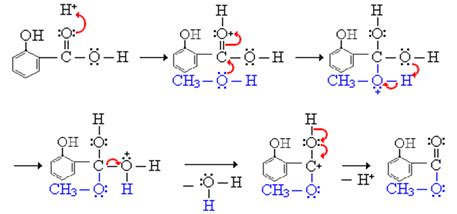 Synthesis of Methyl Salicylate - Labmonk