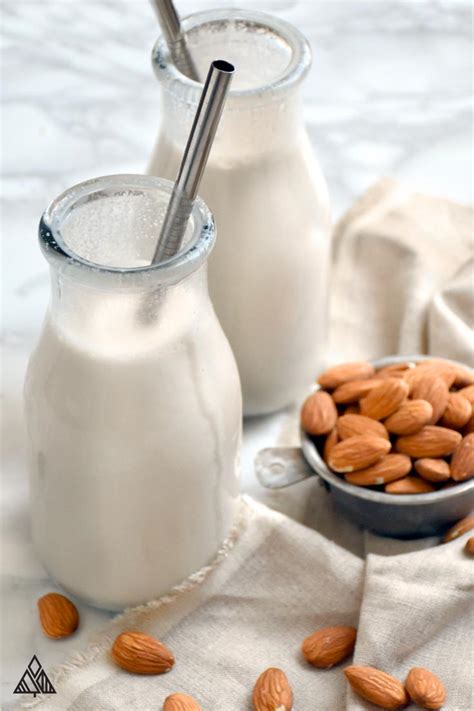 How To Make Almond Milk - The Little Pine