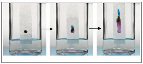 Procedure of Paper Chromatography