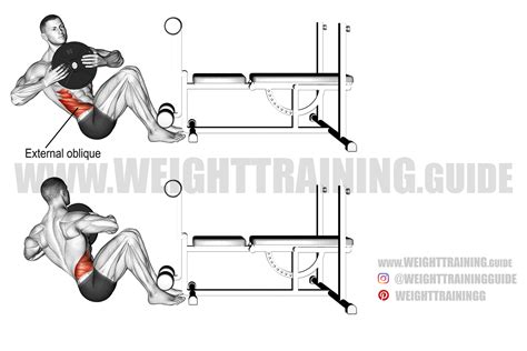 Weighted Russian twist exercise guide and video | Weight Training Guide