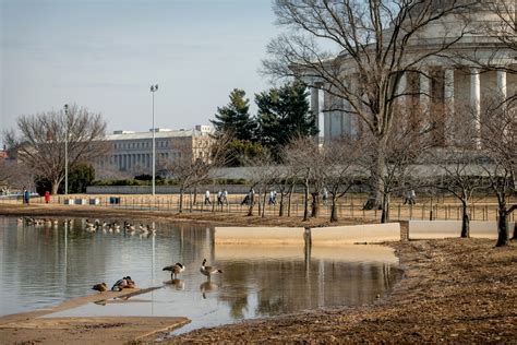 See How D.C.’s Iconic Tidal Basin Is Being Reimagined by Five Design ...