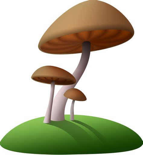 Champignons Dessin Animé Nature - Image gratuite sur Pixabay - Pixabay