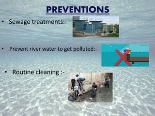 Water pollution | PPT