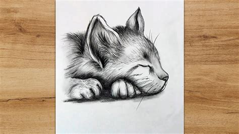 How to Draw a Sleeping Cat | Cat Sketch Step by Step - YouTube