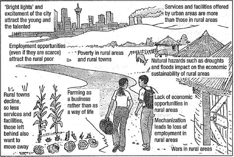 Grade 9 Rural-Urban Migration - John Lanser | Library | Formative