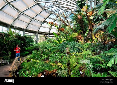 Greenhouse, botanical garden, Dahlem, Berlin, Germany Stock Photo - Alamy