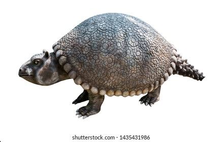 76 Glyptodon Images, Stock Photos & Vectors | Shutterstock